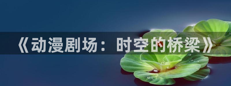 动漫岛网址：《动漫剧场：时空的桥梁》