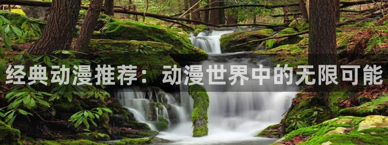 动漫岛盾之勇者成名录：经典动漫推荐：动漫世界中的无限可能